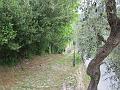 LIGURIAMTB13 (72)